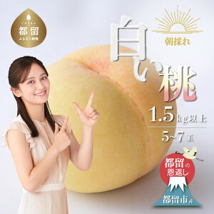 yӂ邳Ɣ[Łzy2026Ns\zRssY ̂uv 1.5kgȏ (5`7ʁj{̎Yn RY|| @@_ W[V[ RY _ƒ t[c