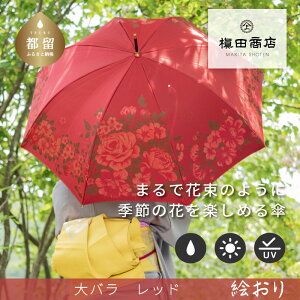 yӂ邳Ɣ[ŁzJpP@G o@bhb cX P JP  fB[X  v[g Mtg ̓ a {  P Jp uh i