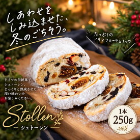 【ふるさと納税】 2026年期間限定 天然酵母のシュトーレン 250g×1本 季節限定 自家製酵母 tobira ドライフルーツ ナッツ スパイス クリスマス 焼き菓子