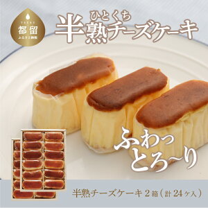 【ふるさと納税】毎年定番人気!半熟チーズケーキ2箱(各12個入り)計24個【ならや】|スイーツ ケーキ お菓子 洋菓子 送料無料 プレゼント 贈り物 ギフト チーズ お取り寄せスイーツ スイ