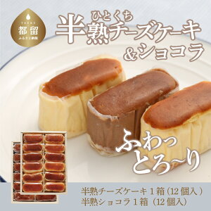 【ふるさと納税】毎年定番人気!半熟チーズケーキ1箱・半熟ショコラ1箱(各12個入り)計24個【ならや】|スイーツ ケーキ お菓子 洋菓子 送料無料 プレゼント 贈り物 ギフト チーズ お取り
