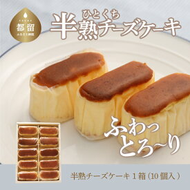 【ふるさと納税】 半熟 チーズケーキ 1箱 10個入り 保存料 不使用 ならや お菓子 洋菓子 お取り寄せスイーツ naraya 定番 スイーツギフト