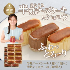【ふるさと納税】毎年定番人気!!半熟チーズケーキ1箱・半熟ショコラ1箱(各10個入り)計20個【ならや】|スイーツ ケーキ お菓子 洋菓子 送料無料 プレゼント 贈り物 ギフト チーズ お取