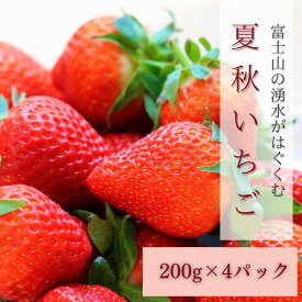 【ふるさと納税】 【2026年先行予約】山梨県産 いちご 200g×4パック（夏秋いちご）ご家庭用 いちご イチゴ 苺 フルーツ 果物 デザート 山梨県 山梨 送料無料 期間限定 国産 旬