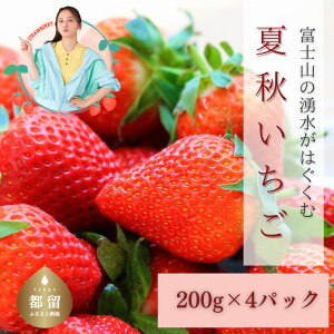 yӂ邳Ɣ[ŁzyÑ~lՂIR̉ďHzƒp 200g× 4pbN  摜͑嗱iQljłB䕂̃TCYŌς܂Iyjt@[zb C`S Mtg