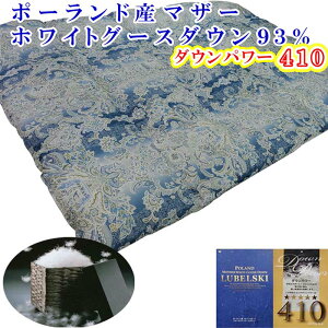 yӂ邳Ɣ[ŁzHѕzc@sN^u[Iׂdly|[hY}U[O[X93zVO150×210cmSBy_Ep[410zHъ|zc