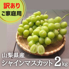 【ふるさと納税】訳あり シャインマスカット 2kg ご家庭用 山梨県産【味や品質には問題なし】