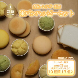 【ふるさと納税】食物アレルギー対応米パン　ハッピーセット｜ アレルギー対応 子供 離乳食 健康 米粉 国産 日本製 お子様 子ども 安心 安全 アレルギーフリー 赤ちゃん グルテンフリー