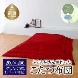 yӂ邳Ɣ[Łzi`j HтӂƂi200cm×250cmj _E70 bhyREREXz b zc Hтzc  R hL h h_j Ő I { 