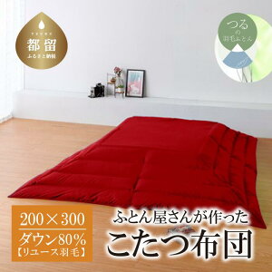 yӂ邳Ɣ[Łzi`j HтӂƂi200cm×300cmj _E80 bh yREREXzb zc Hтzc  R hL h h_j Ő I { 