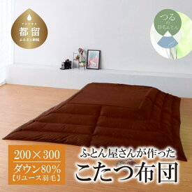 【ふるさと納税】（長方形）あったか 羽毛こたつふとん（200cm×300cm） ダウン80％ ブラウン 【REREX】｜ こたつ布団 羽毛こたつ布団 送料無料 抗菌 防臭 防汚 防ダニ おうちで洗濯 選択可 日本製 リユース羽毛