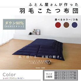 【ふるさと納税】【ふるさと納税】こたつ布団 リユース羽毛 ダウン80％ 日本製 抗菌 防臭 防汚 防ダニ 洗濯可 3色×3サイズから選べる【REREX】