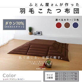 【ふるさと納税】こたつ布団 リユース羽毛 ダウン70％ 日本製｜抗菌 防臭 防汚 防ダニ 洗濯可｜選べる3色×3サイズ｜こたつ掛布団 こたつ掛け布団 冬用 あったか 節電 寒さ対策【REREX】