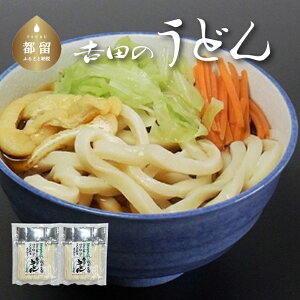 【ふるさと納税】吉田のうどん 3人前平袋 ×2パック(3人前×2パック)