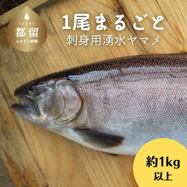 楽天市場 魚介 魚介加工品 川魚 山梨県都留市