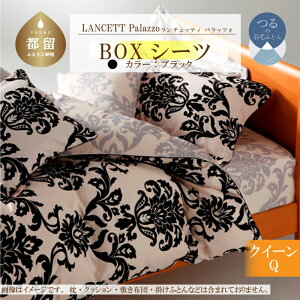yӂ邳Ɣ[ŁzLANCETTI`FbeBPalazzopbcH BOXV[cyQ(NC[)TCYzyubNzy{z