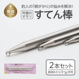 【ふるさと納税】【釣り具】すてん棒　Φ6（直径6ミリ）　31g　8号　2本セット ｜ 釣り フィッシング アユ オモリ 根がかり なし ステンレス シンカー サビキ 中オモリ 遠投ウキ釣り 連結可能