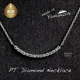 【ふるさと納税】 ダイヤモンドネックレス 0.23ct プラチナ ペンダント ジュエリー アクセサリー ギフト PR_MN-126 鑑別書 保証書付き リズプラス