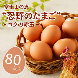 �y�ӂ邳�Ɣ[�Łz�x�m�R�̌b�g�E��̂��܂��g�]�R�N�̐ԋʁ]80���@|| �R�����Y �V�N ���܂� �����Ղ� �� ���܂� �ʎq �������� ������ �ƒ�p �{�� ���� �R�N ���܂� �Z�� �������� ���R�L