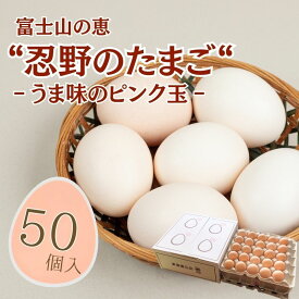 【ふるさと納税】 富士山の恵 忍野のたまご うま味のピンク玉 50個 山梨県忍野村産 鶏卵 たまご 卵 玉子 田辺養鶏場