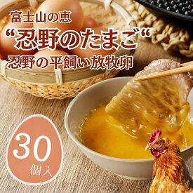 【ふるさと納税】 忍野の平飼い放牧卵 30個 山梨県忍野村産 アニマルウェルフェア認証 三ツ星 鶏卵 たまご 卵 玉子 田辺養鶏場