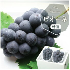 【ふるさと納税】【2026年発送分先行予約】山梨産 ピオーネ(種なし) 2房 約1kg 化粧箱入り 産地直送でお届け_ ふるさと納税 ぶどう ブドウ 巨峰 葡萄 フルーツ 果物 くだもの ふるさと ギフト プレゼント 贈り物 産地直送 山梨【配送不可地域：離島・沖縄県】【1021829】