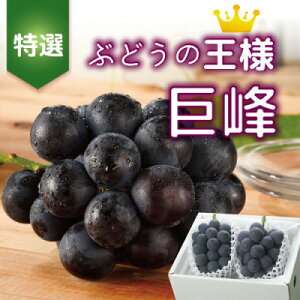 yӂ邳Ɣ[Łzy2026Ns\zRY (햳) 2[ 1kg ϔ_ ӂ邳Ɣ[ ӂ邳 Ԃǂ uhE  t[c ʕ  Mtg  R Rs R l