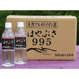 【ふるさと納税】りょう泉はやぶさ　995〈500ml×24本〉【1031769】