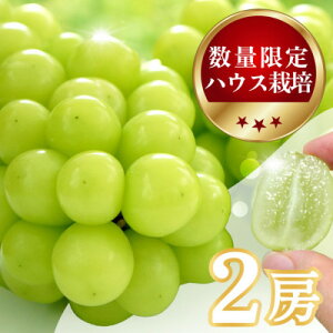 yӂ邳Ɣ[Łzyʌz6{`7{nEX͔|́wVC}XJbgx 2[@1kgyzsnFEꌧzy1041839z