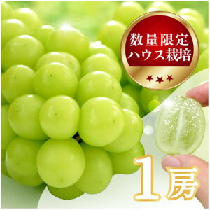 yӂ邳Ɣ[Łzyʌ z6{`7{BnEX͔|́wVC}XJbgx 1[yzsnFEꌧzy1041840z