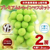 楽天市場】山梨県産シャインマスカット 2房（約1．2kgの通販 おまとめお買い得価格山梨県産シャインマスカット5k✖︎２ケース