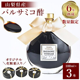 【ふるさと納税】【数量限定】濃厚で芳醇な味わい!6年熟成・山梨県産バルサミコ酢100ml×3本【1115337】