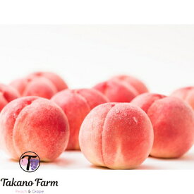 【ふるさと納税】Takano Farmの完熟もも　約3kg【配送不可地域：離島】【1115746】