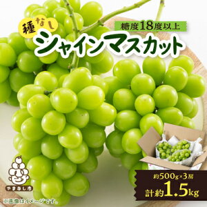 yӂ邳Ɣ[ŁzRsYuVC}XJbg(Ȃ)v 1.5kg (500g×3[)yzsnFEꌧzy1117303z