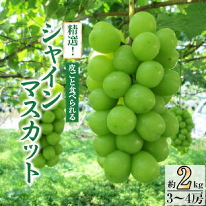 yӂ邳Ɣ[ŁzI! VC}XJbg 2kg (3`4[)_ ӂ邳Ɣ[ ӂ邳 }XJbg Ԃǂ uhE  t[c ʕ  lC   R Rs Ryz