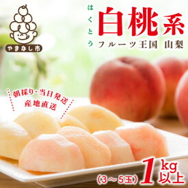 【ふるさと納税】2026年先行予約　山梨県産 桃 白桃系 1kg以上(3～5玉) フルーツ王国・山梨県から産地直送【配送不可地域：離島・沖縄県】【1137261】