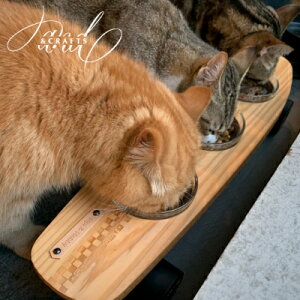 yӂ邳Ɣ[Łzy&CRAFTSzPet bowls stand-3BOWLS-(Red)v[gty1257968z