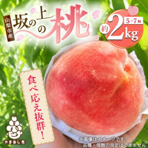 2026年発送【旬の桃 約2kg 5～7玉】 坂の上の桃 ...