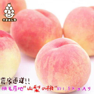 yӂ邳Ɣ[Łzs2026N s\t_ƒ Yn R̓ Gi 1.5kg ӂ邳Ɣ[ŁyzsnFEꌧzy1292060z