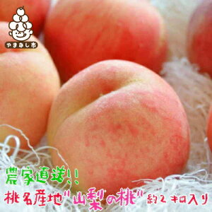 yӂ邳Ɣ[Łzs2026N s\t_ƒ Yn R̓ Gi 2kg ӂ邳Ɣ[ŁyzsnFEꌧzy1292061z