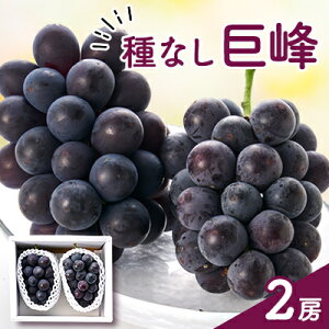 yӂ邳Ɣ[ŁzȂ(2[)yzsnFzy1300007z