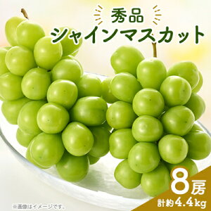 yӂ邳Ɣ[ŁzVC}XJbg(8[)_ ӂ邳Ɣ[ t[c ʕ  }XJbg uhE Ԃǂ  ӂ邳 lC R R @yzsnFzy1300099z