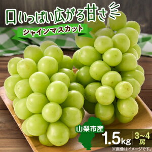 yӂ邳Ɣ[Łz݂VC}XJbg 1.5kg(3`4[)yzsnFzy1304377z