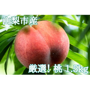 【ふるさと納税】【2026年先行予約】厳選!山梨市産 桃 約1.5kg(4〜7玉)【配送不可地域:離島】【1305782】