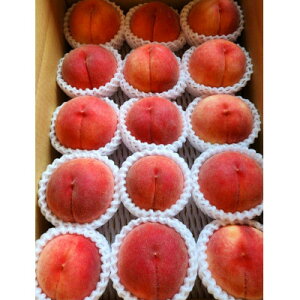 �y�ӂ邳�Ɣ[�Łz�y2026�N��s�\��z�_�ƒ����̓��@5kg(18�`12��)�y�z���s�n��F�����z�y1322142�z