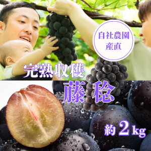 yӂ邳Ɣ[Łzy2026Ns\znn 2kg RY Д_Yyʌzy󏭕i!zyzsnFzy1327857z