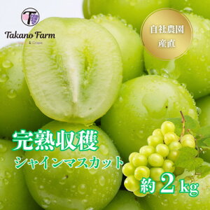 yӂ邳Ɣ[Łzy2026Ns\zVC}XJbg2kg RY Д_!nn! yʌzyzsnFzy1327875z