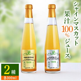 【ふるさと納税】【数量限定】シャインマスカット 果汁100% ジュース 2種 ストレート スパークリング 各300ml ぶどうジュース _ ふるさと納税 ふるさと フルーツジュース ジュース ぶどう ブドウ 山梨県 山梨市 山梨 ギフト プレゼント 贈り物 【1359117】