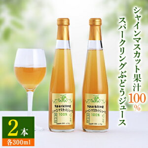 yӂ邳Ɣ[ŁzyʌzVC}XJbgʏ`100%Xp[NOԂǂW[X300ml×2{Zbgy1359119z