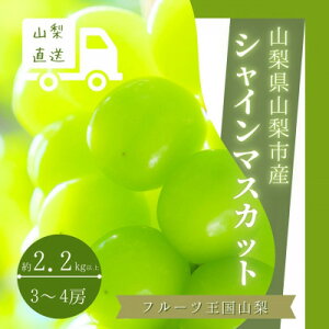 yӂ邳Ɣ[Łzt[c RY@VC}XJbg@3[`4[ 2.2kgȏyzsnFzy1362278z
